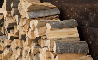 針葉樹、広葉樹、どちらも燃やせる